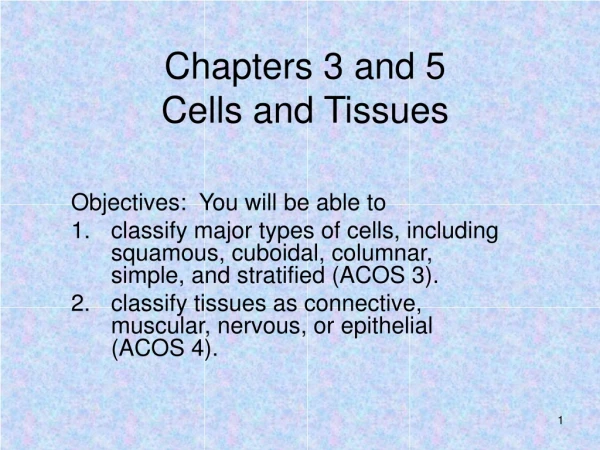 Chapters 3 and 5 Cells and Tissues