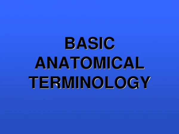 BASIC  ANATOMICAL TERMINOLOGY