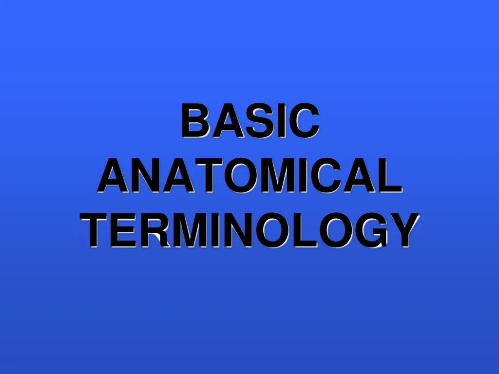 basic anatomical terminology