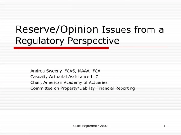 Reserve/Opinion  Issues from a Regulatory Perspective