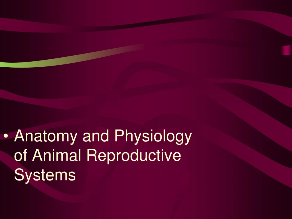 anatomy and physiology of animal reproductive systems