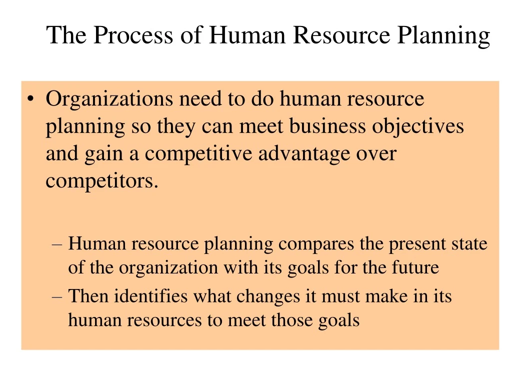 the process of human resource planning