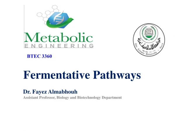Fermentative Pathways