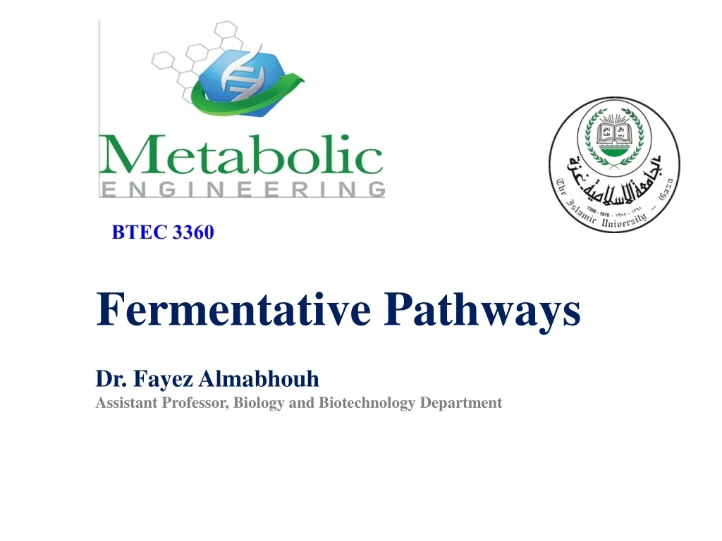 fermentative pathways