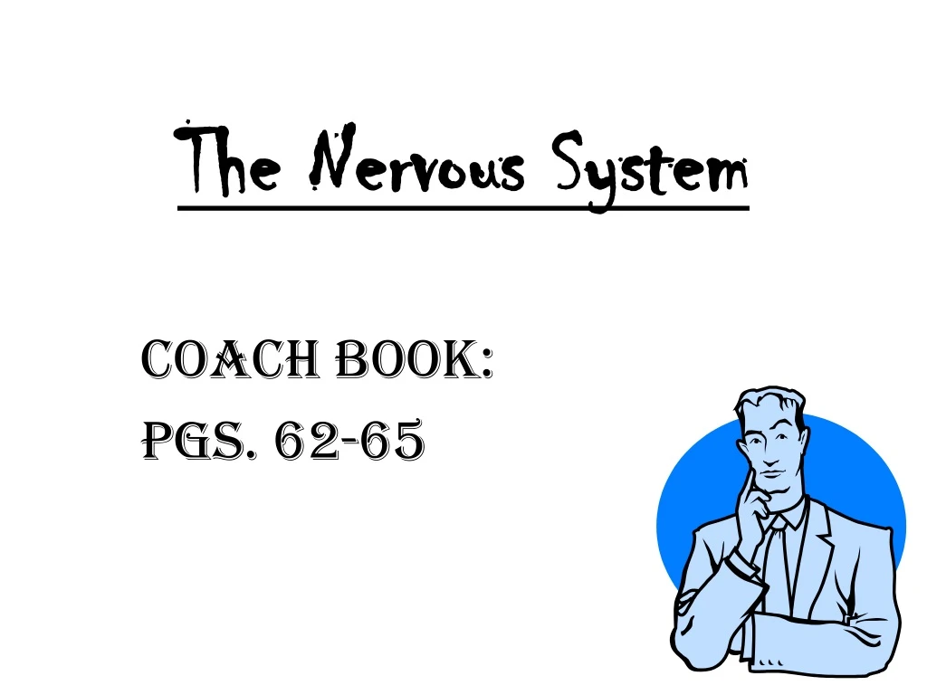 the nervous system