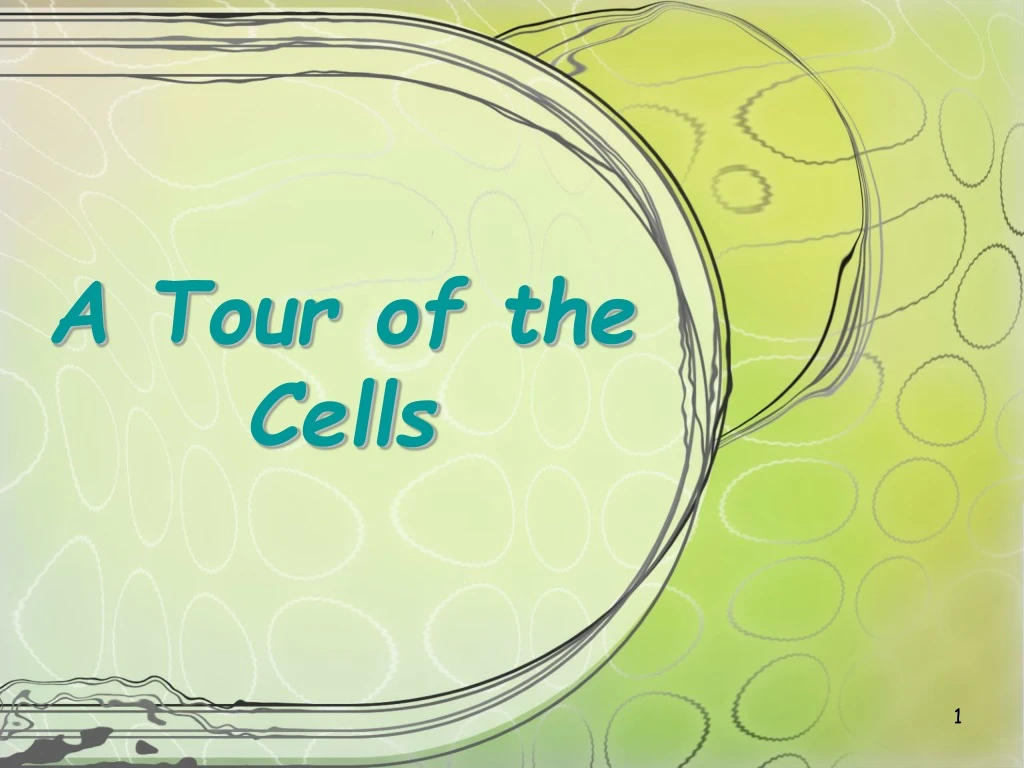 a tour of the cells