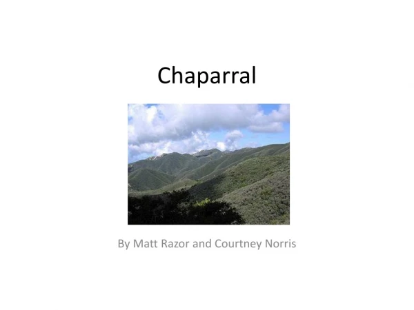 Chaparral