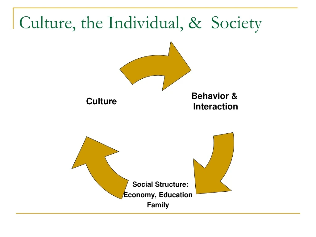culture the individual society