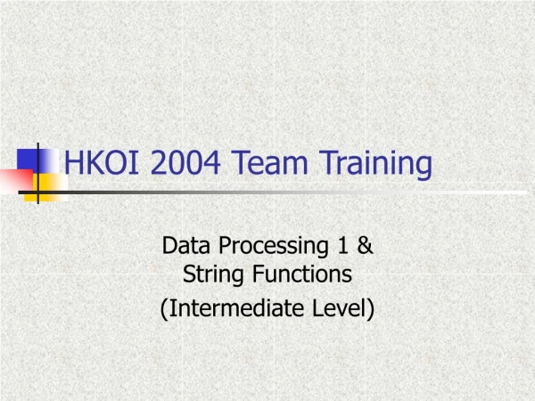 HKOI 2004 Team Training