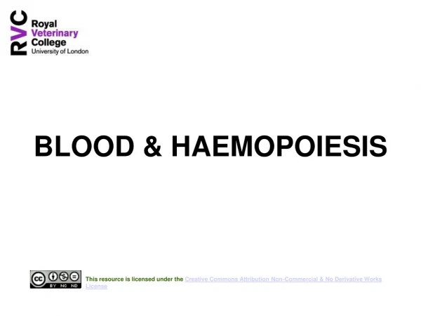 BLOOD &amp; HAEMOPOIESIS