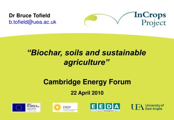 “Biochar, soils and sustainable agriculture”
