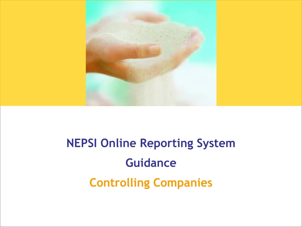 nepsi online reporting system guidance