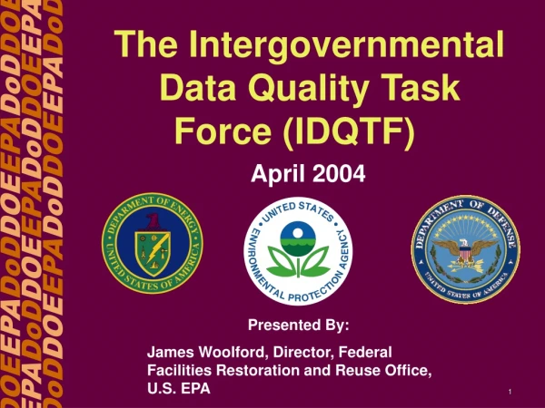 The Intergovernmental Data Quality Task Force (IDQTF)