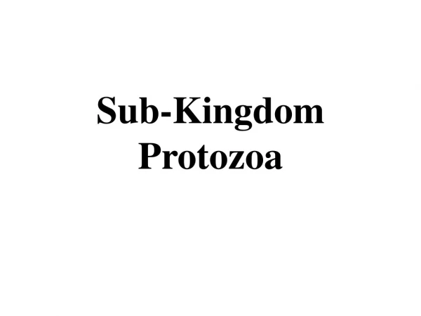 Sub-Kingdom Protozoa