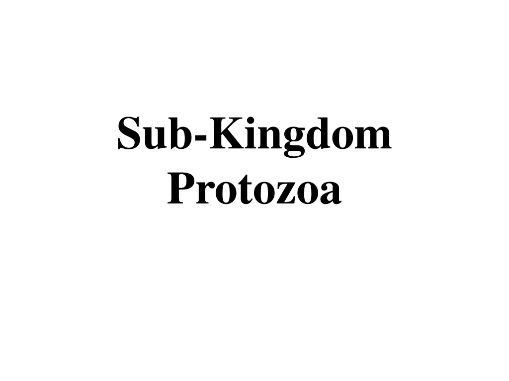 sub kingdom protozoa