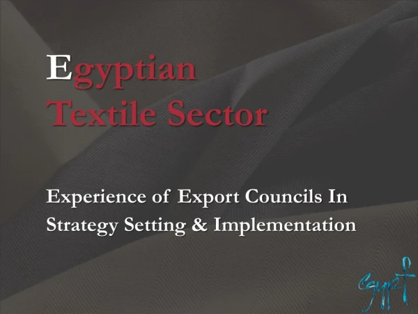 E gyptian  	Textile Sector Experience of Export Councils In 	Strategy Setting &amp; Implementation