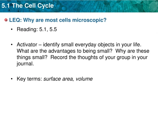 LEQ: Why are most cells microscopic?
