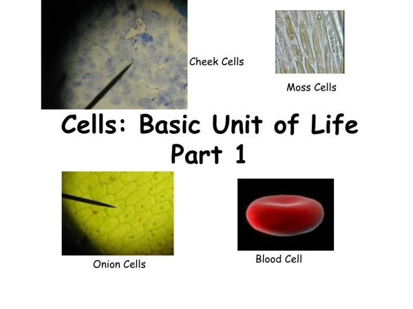 Cells: Basic Unit of Life Part 1