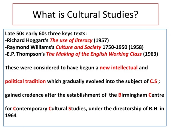What is Cultural Studies?