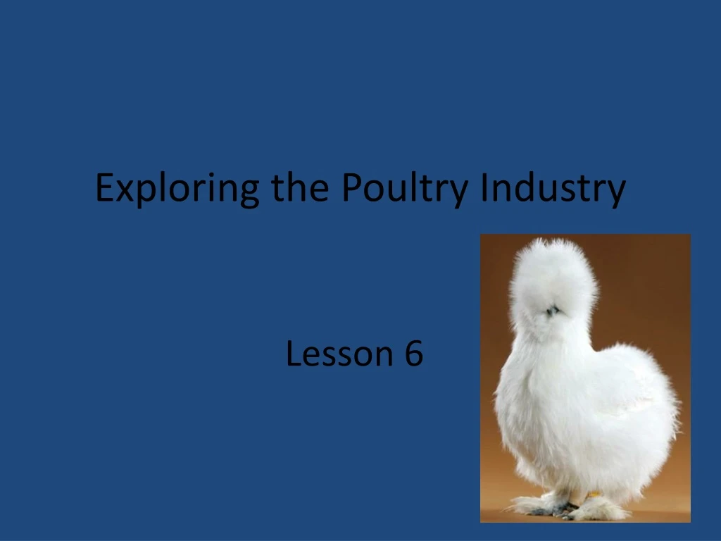 exploring the poultry industry