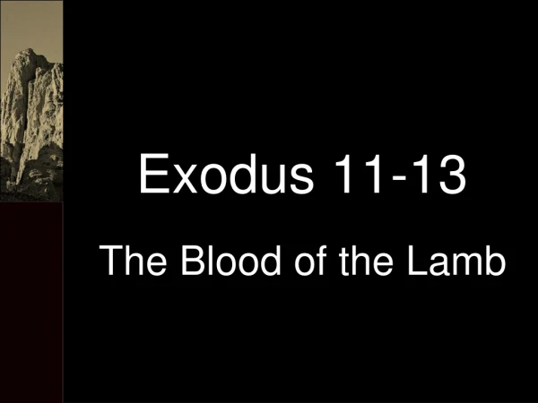 Exodus 11-13