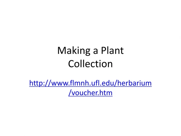 Making a Plant  Collection