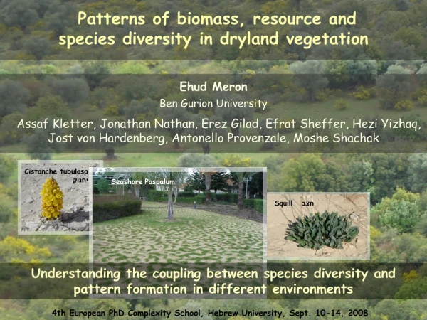 Patterns of biomass, resource and  species diversity in dryland vegetation