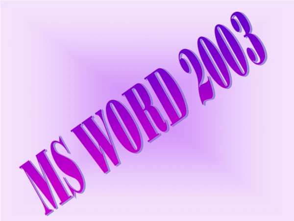 MS WORD 2003