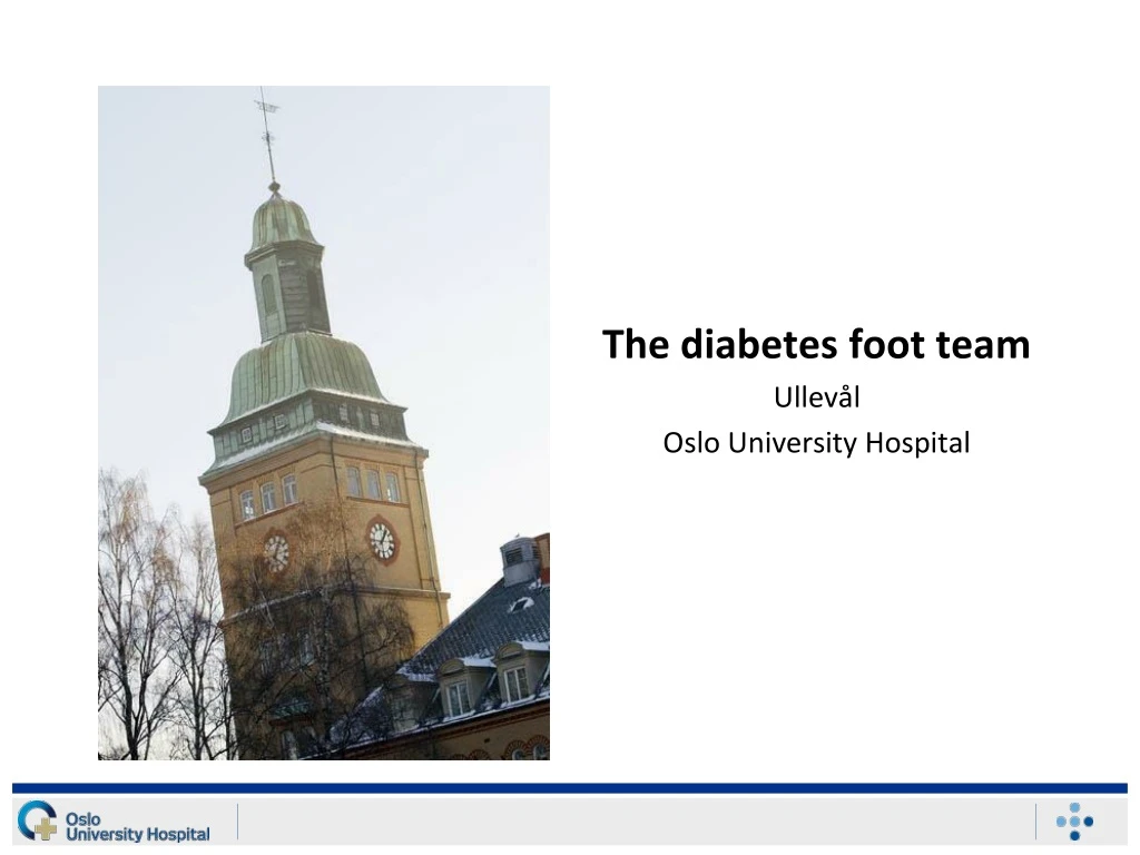 the diabetes foot team ullev l oslo university