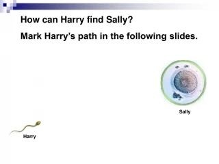 Harry - slide 1