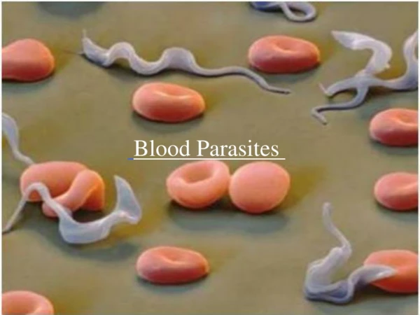 Blood Parasites
