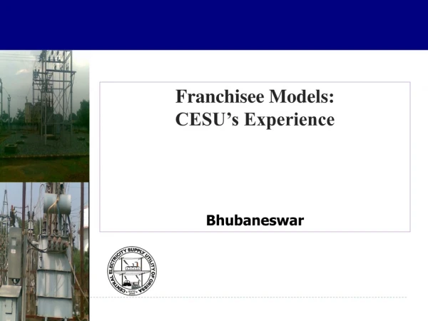 Franchisee Models:                              CESU’s Experience