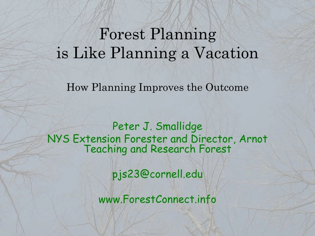 forest planning is like planning a vacation how planning improves the outcome