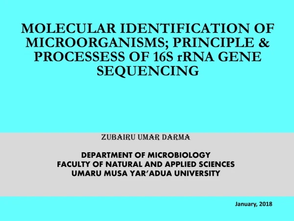 MOLECULAR IDENTIFICATION OF MICROORGANISMS; PRINCIPLE &amp; PROCESSESS OF 16S  rRNA  GENE SEQUENCING