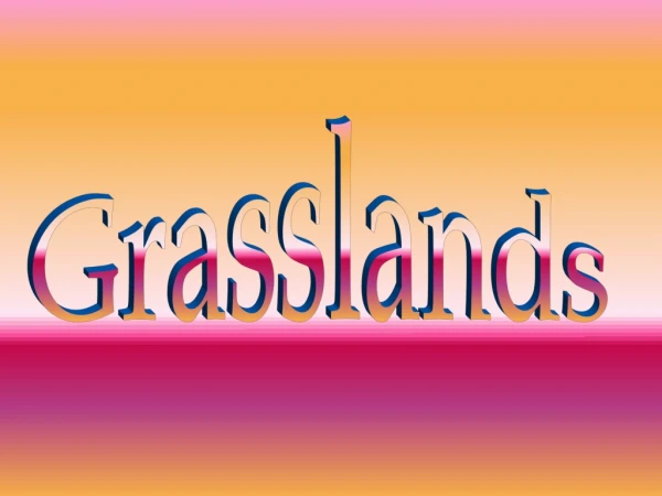 Grasslands