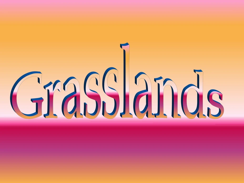 grasslands