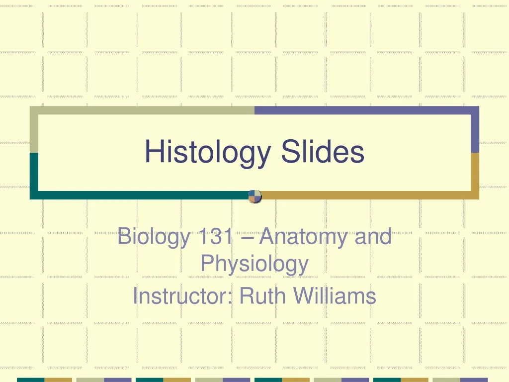 histology slides