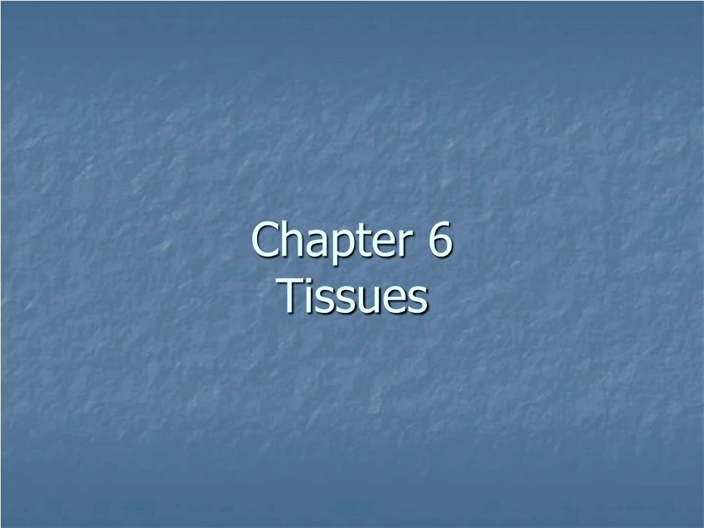 chapter 6 tissues