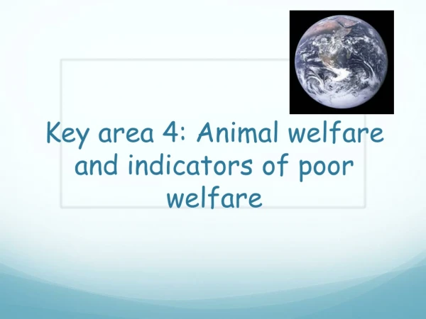 Key area 4: Animal welfare and indicators of poor welfare