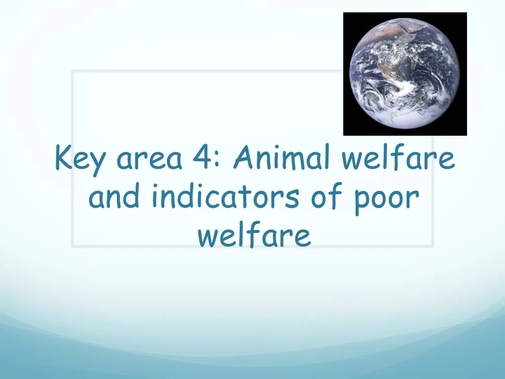 key area 4 animal welfare and indicators of poor welfare