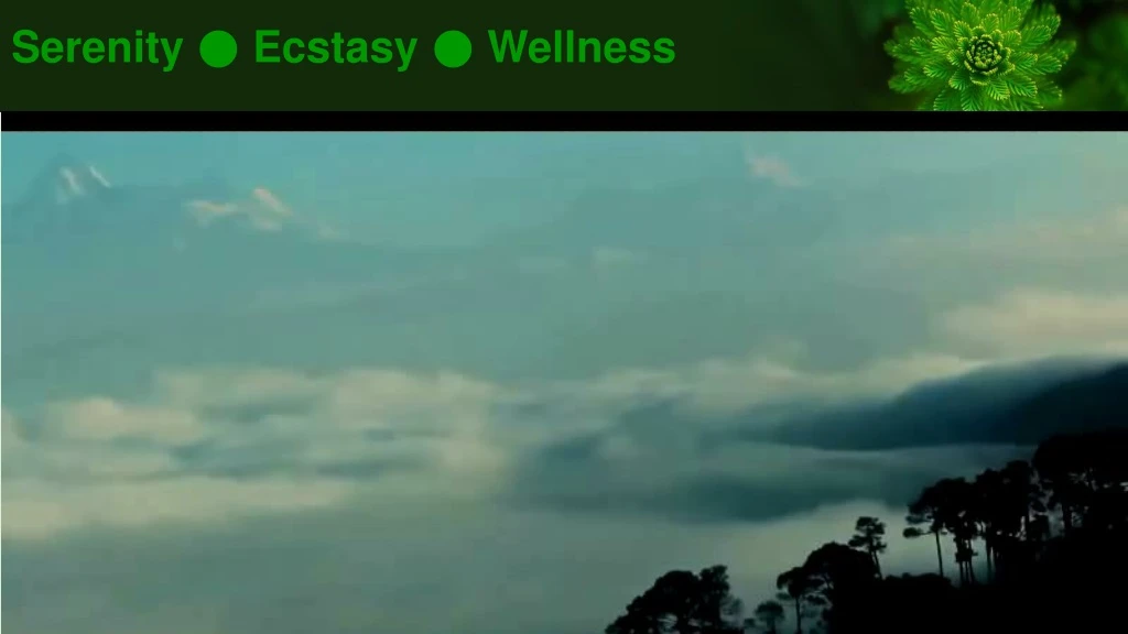 serenity ecstasy wellness