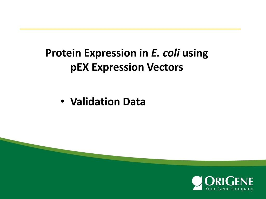 protein expression in e coli using pex expression