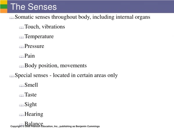 The Senses