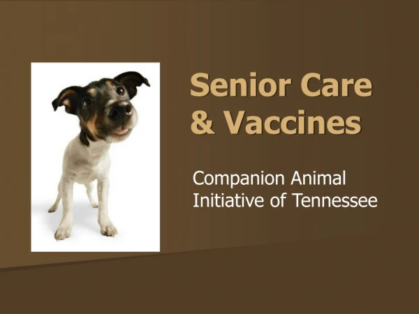 Senior Care &amp; Vaccines