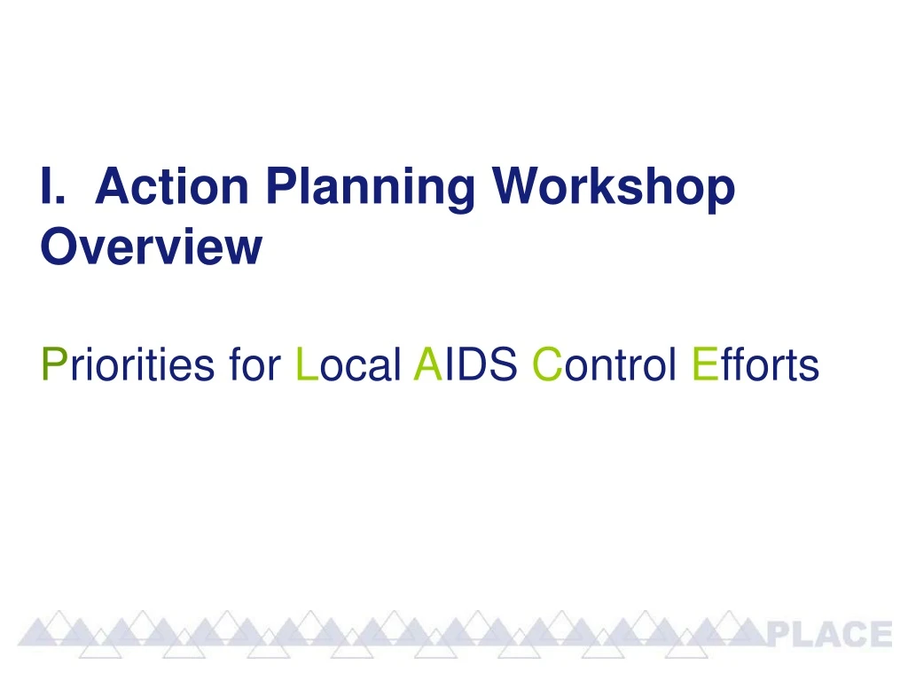 i action planning workshop overview p riorities