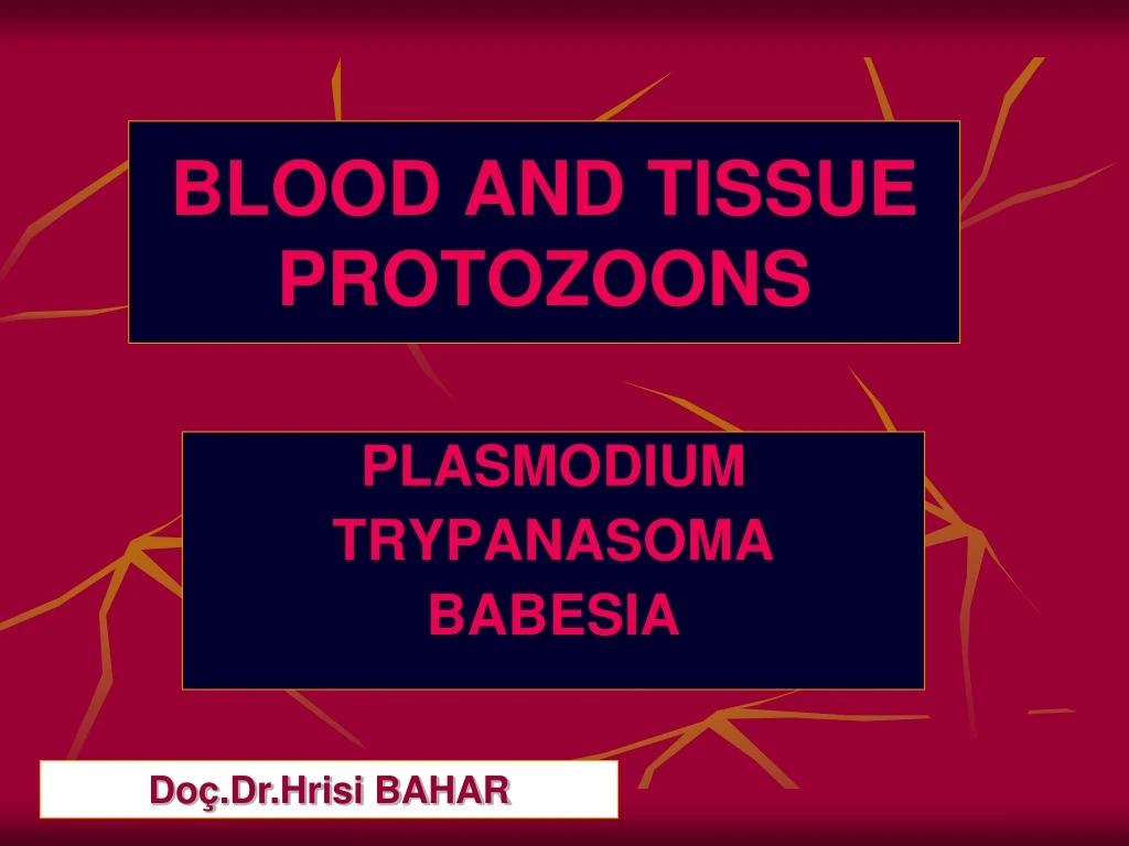 blood and tissue protozoons