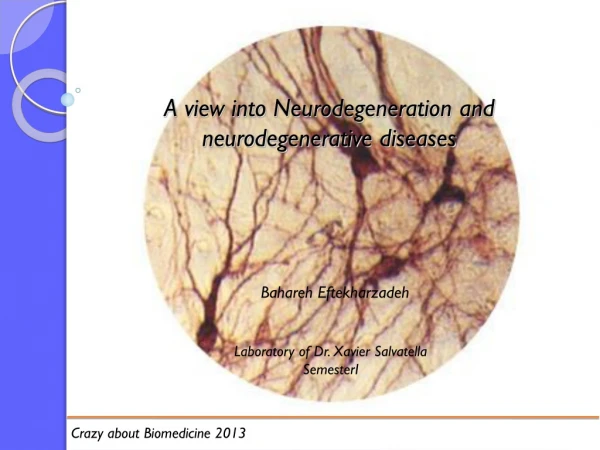 A view into Neurodegeneration and neurodegenerative diseases
