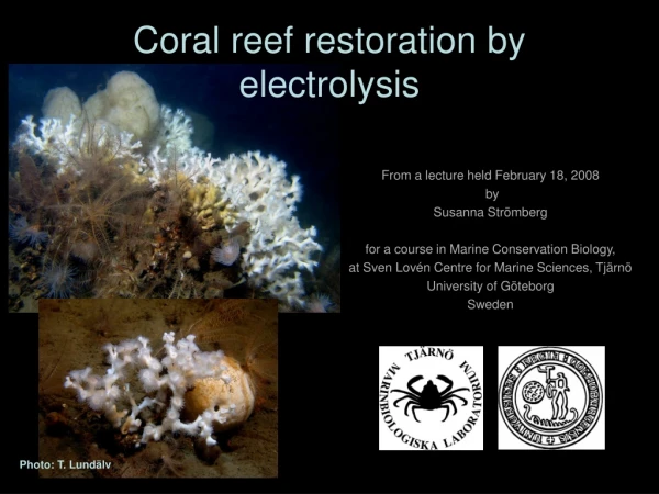 Coral reef restoration by electrolysis