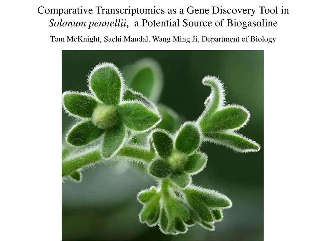 comparative transcriptomics as a gene discovery
