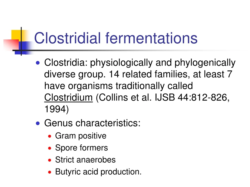 clostridial fermentations